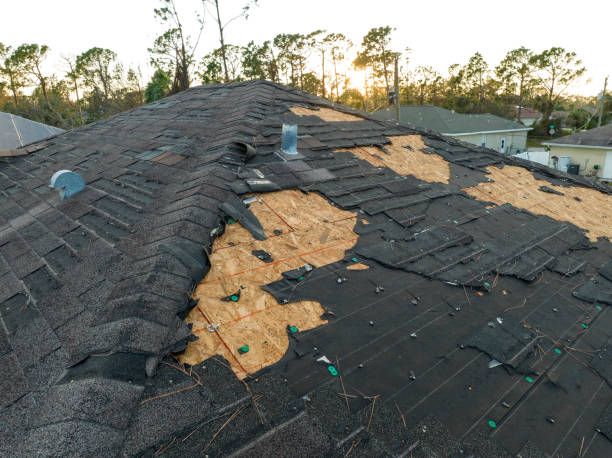 Best Solar Panel Roofing Installation  in Woodburn, VA